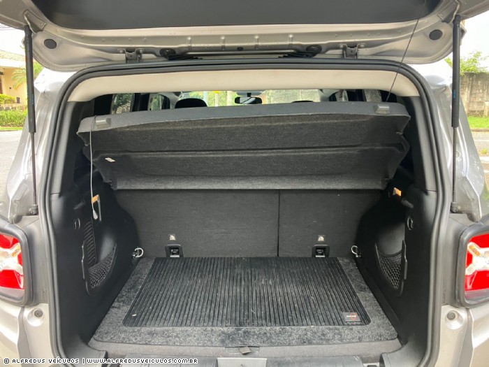 Jeep RENEGADE 1.8 FLEX 2019/2020